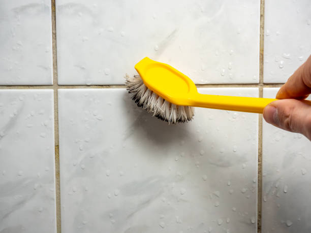 Best Home Mold Removal  in Sonoma, CA