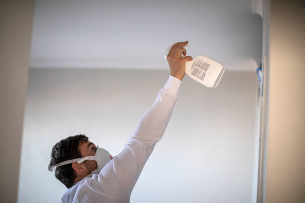 Best Local Mold Removal Service  in Sonoma, CA