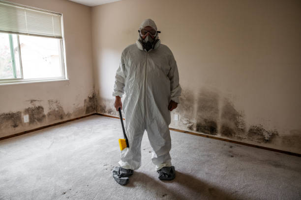 Best Certified Mold Removal  in Sonoma, CA